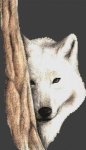 (image for) White Wolf